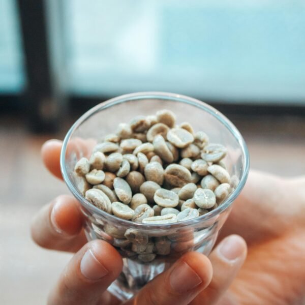 A close-up shot of unroasted coffee beans in a glass held by a hand in a café setting.